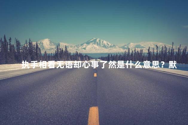 执手相看无语却心事了然是什么意思？默然交心 悄悄流露